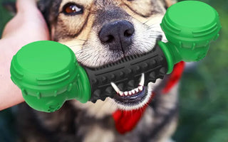 Ultimate Dog Toy Safety: The Most Indestructible Toys!