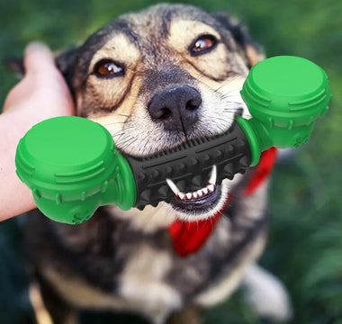 Ultimate Dog Toy Safety: The Most Indestructible Toys!