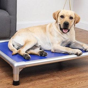 Mighti Ruff Indestructible Elevated Pet Bed