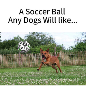 Mighti Ruff Dog Soccer Ball